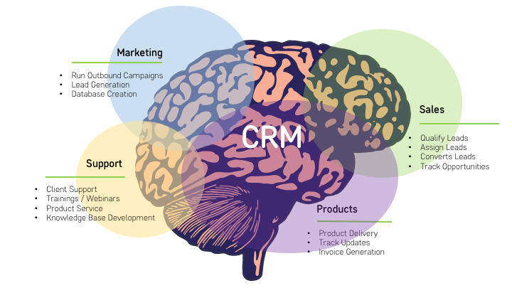 CRM brain