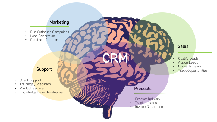 CRM-brain