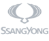 Logotyp Ssayong